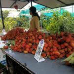 Rambutan
