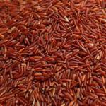 Rakthashali Rice