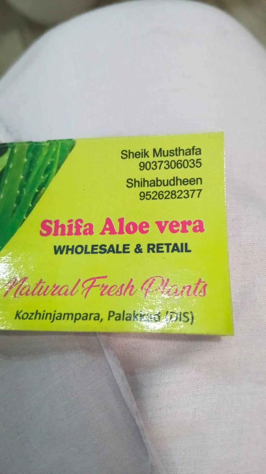 Shifa Aloe vera