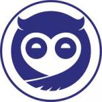 Sleepy Owl