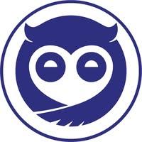 Sleepy Owl