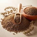 Cumin Seeds (Jeera)