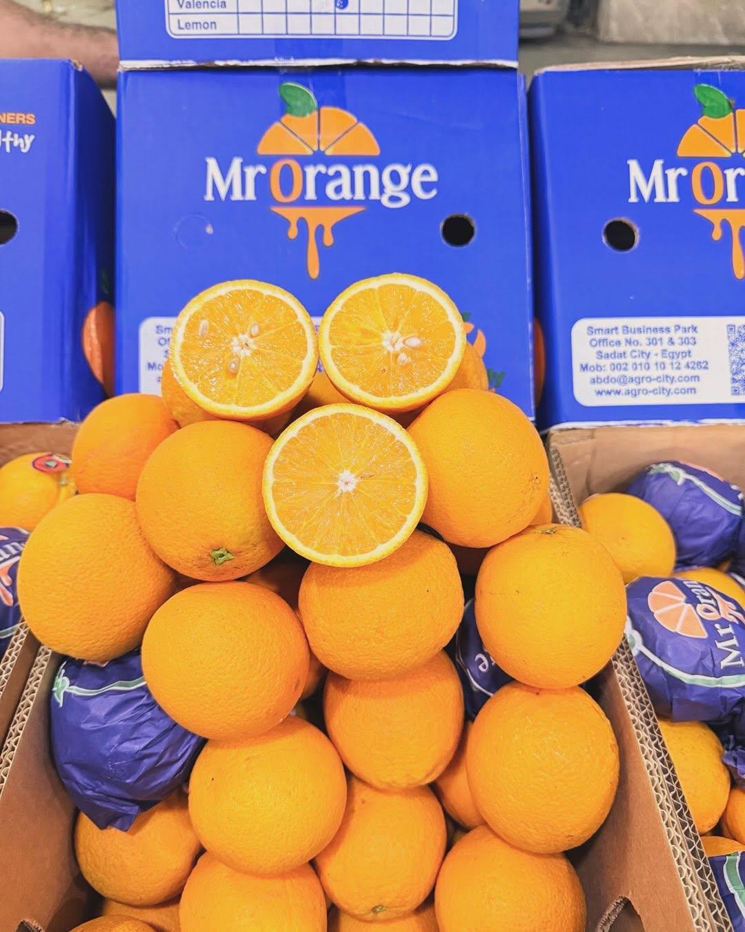 Premium Imported Fresh Oranges