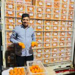 Premium Imported Fresh Oranges
