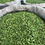 TJK SPICES Premium Green Cardamom