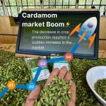 TJK SPICES Premium Green Cardamom