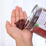 Premium Meetha Paan Without Supari