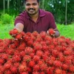 Rambutan
