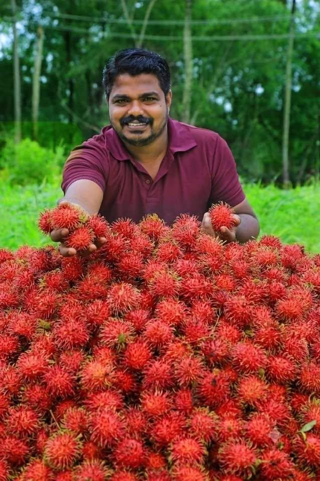 Rambutan